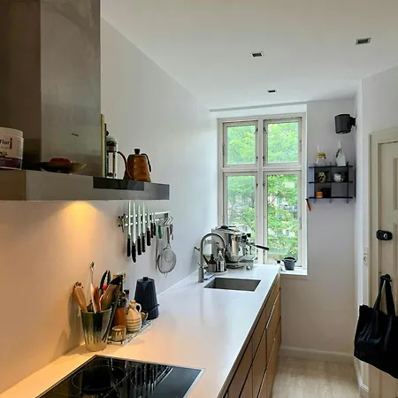 Art-filled Flat Near Copenhagen's Areas *